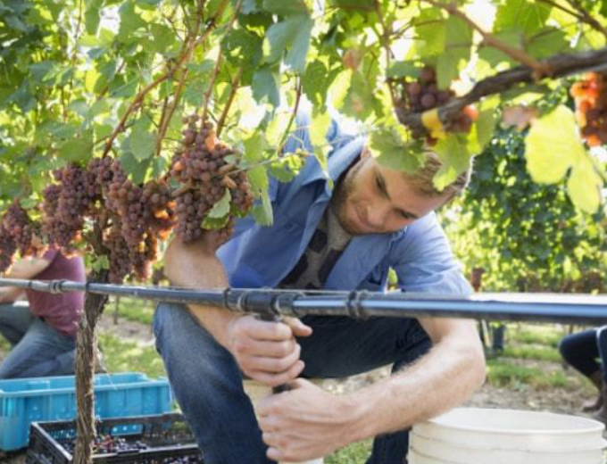 政策：國家支持設(shè)施農(nóng)業(yè)合法用地；雨潤控股：負(fù)債超過1000億元