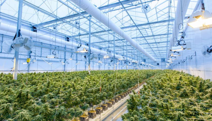 智慧農業 &ndash; 桂林山前智能科技有限公司