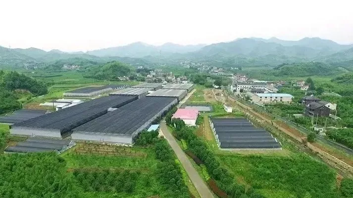 “未來農(nóng)場(chǎng)”的德清實(shí)踐