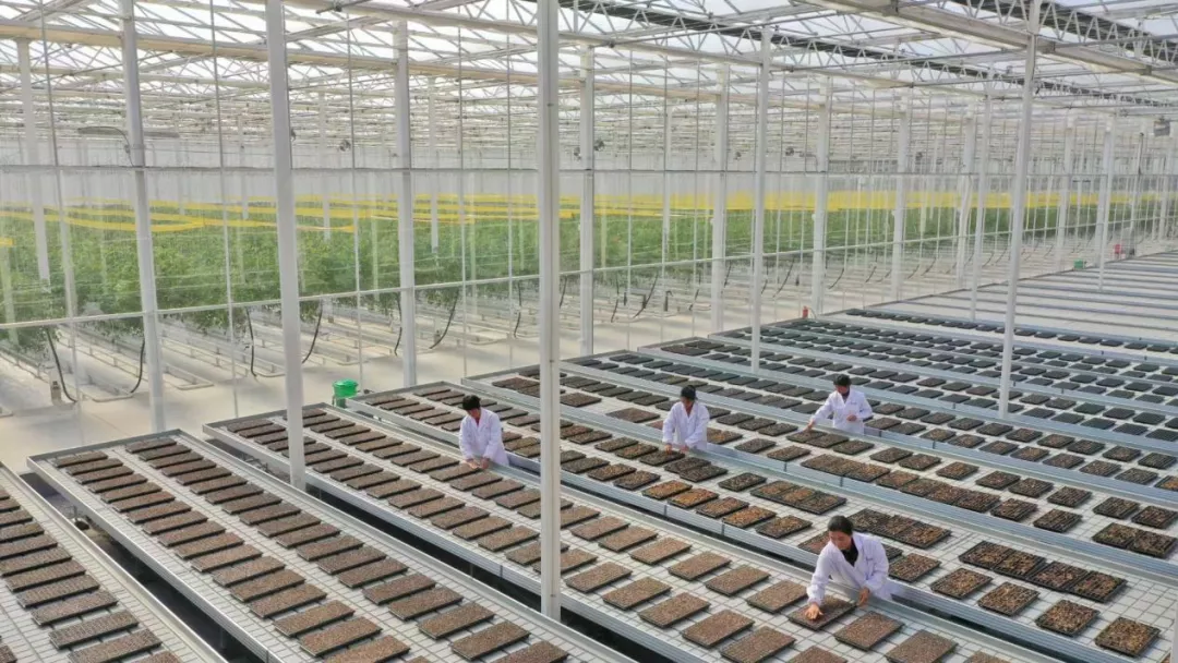 “未來農(nóng)場(chǎng)”的德清實(shí)踐