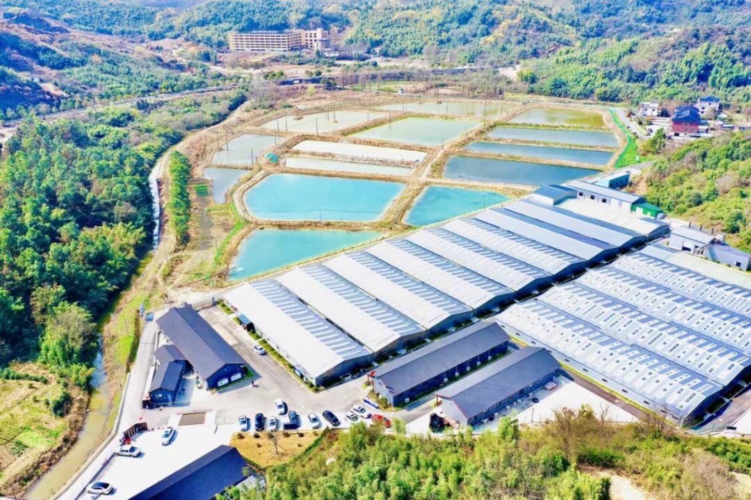 “未來農(nóng)場(chǎng)”的德清實(shí)踐