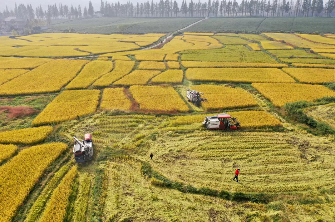 “未來農(nóng)場(chǎng)”的德清實(shí)踐