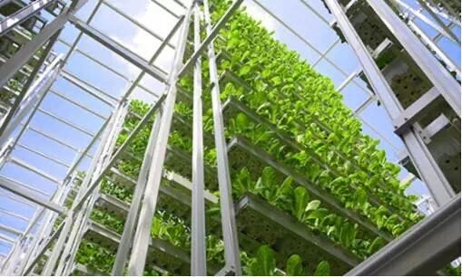 什么是垂直農(nóng)場?垂直農(nóng)場的盈利前景與經(jīng)典案例