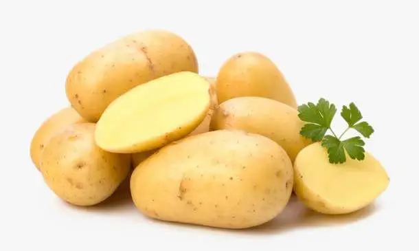 30萬畝種植基地全程機(jī)械化&mdash;&mdash;山西&ldquo;土豆革命&rdquo;行動方案發(fā)布