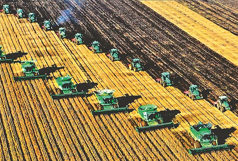 科技助農(nóng) 綠色興農(nóng) 品牌強農(nóng) 北大荒集團趟出農(nóng)業(yè)現(xiàn)代化發(fā)展新路