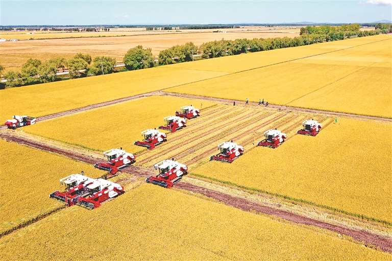 科技助農(nóng) 綠色興農(nóng) 品牌強農(nóng) 北大荒集團趟出農(nóng)業(yè)現(xiàn)代化發(fā)展新路