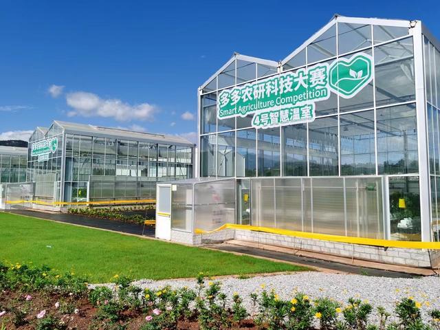 &ldquo;智慧農業&rdquo;拉動引擎，拼多多助鄉村振興