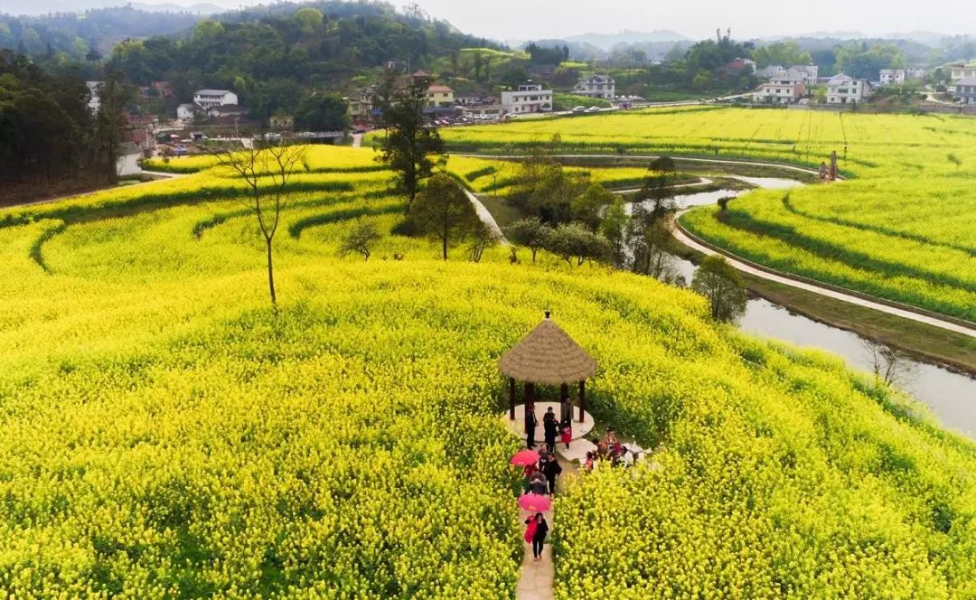 &ldquo;特色小鎮(zhèn)&rdquo;接連失敗，農(nóng)村旅游開發(fā)如何做？