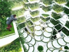 資本青睞的“垂直農業(yè)”,能代表農業(yè)的未來嗎?