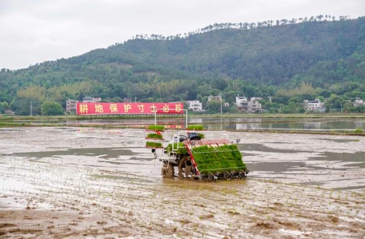 羅錫文院士：將這里打造成無人智慧農場樣板！