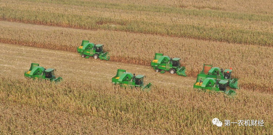 能源糧食價(jià)格高漲 數(shù)十國(guó)陷政治經(jīng)濟(jì)危機(jī)