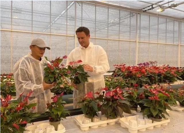 劉強(qiáng)東卸任投身鄉(xiāng)村振興，為何資本大佬都愛農(nóng)業(yè)？