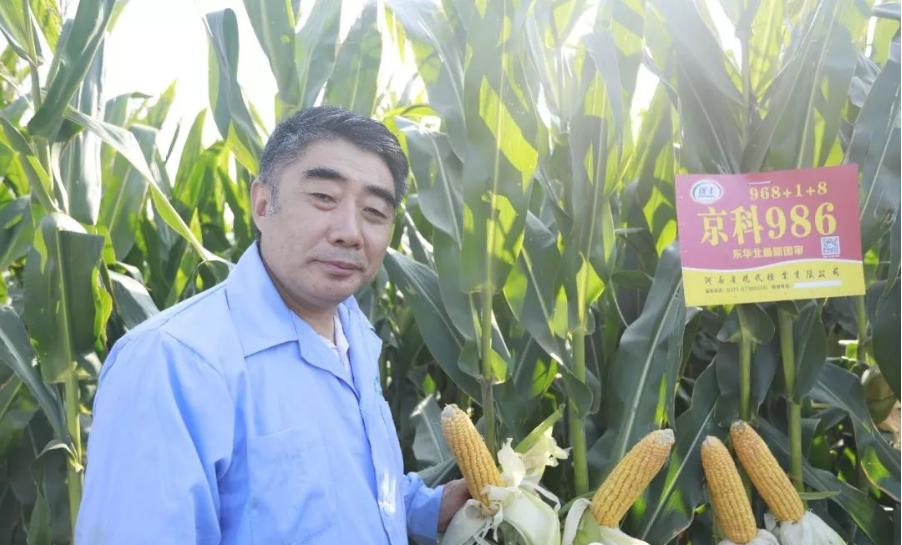 深度透視！農業“芯片”：中國種子戰略