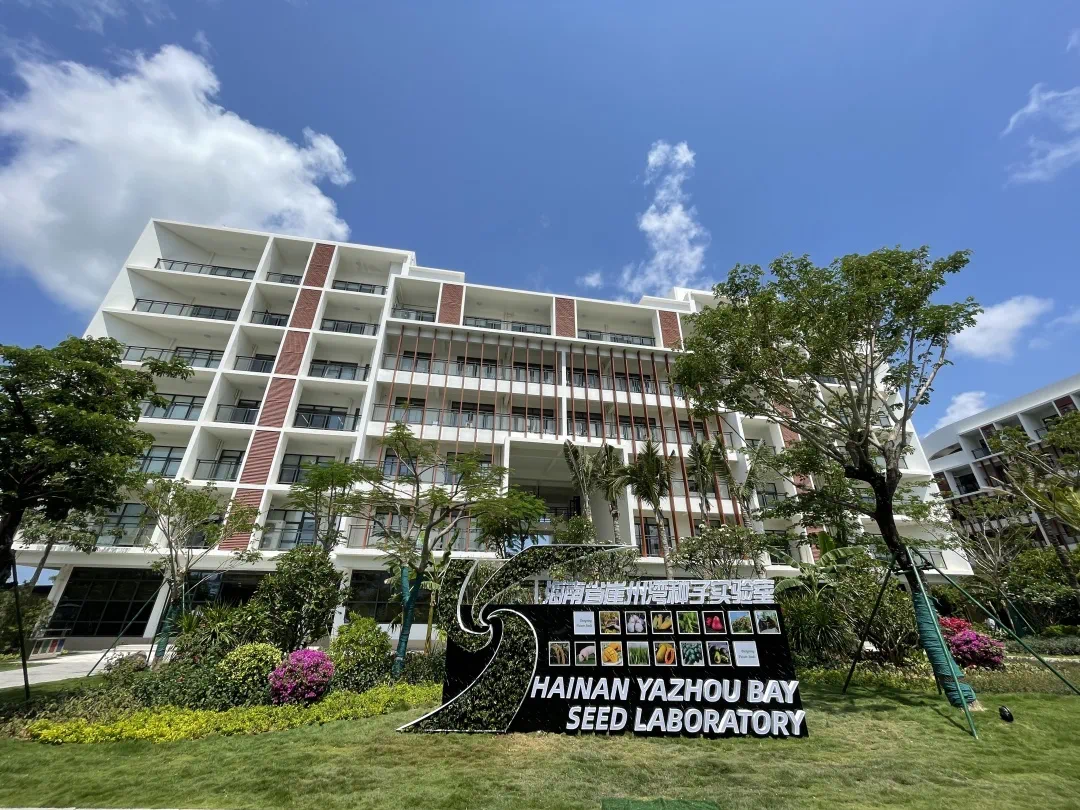 深度透視！農業“芯片”：中國種子戰略