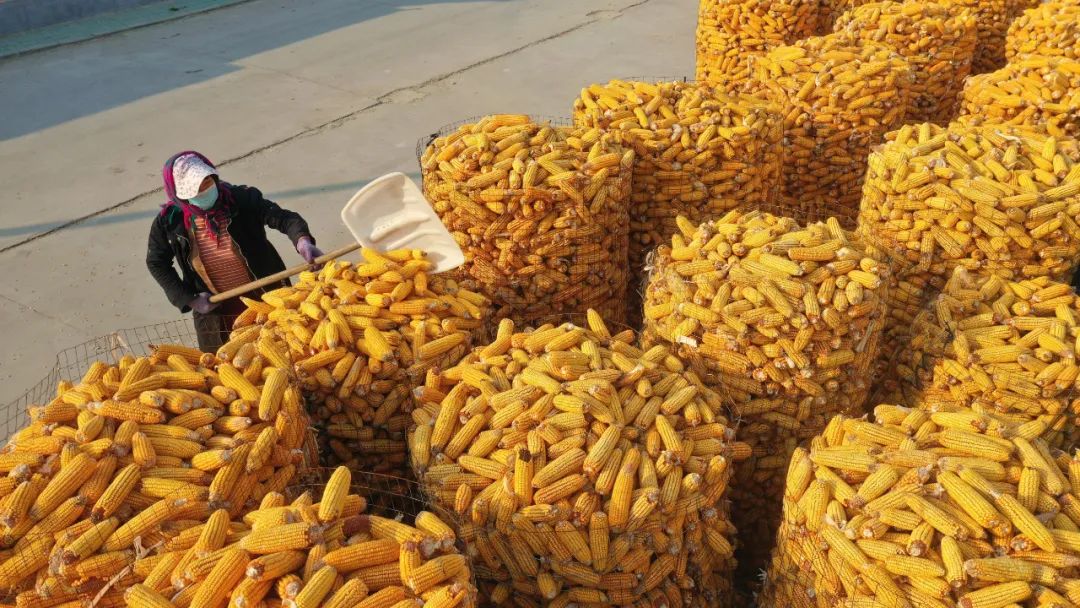 【報告解讀】未來十年，農產品市場變局如何？