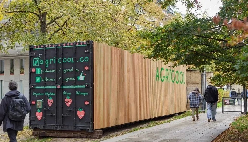 失敗案例！又一個垂直農業先驅倒下，留給中國農業老板的思考