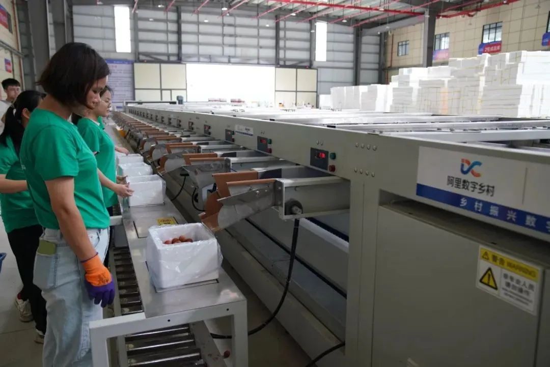 阿里“熱土計劃”再推18條鄉村振興新舉措！