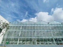 棚內28攝氏度!嘉興這里的數字農業車間很“清涼”