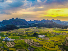 【縣域農業】縣域是未來農業品牌建設的主戰場!