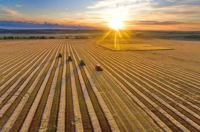 陳文勝:中國(guó)農(nóng)業(yè)現(xiàn)代化的基本趨勢(shì)與未來任務(wù) 陳文勝:中國(guó)農(nóng)業(yè)現(xiàn)代化的基本趨勢(shì)與未來任務(wù)