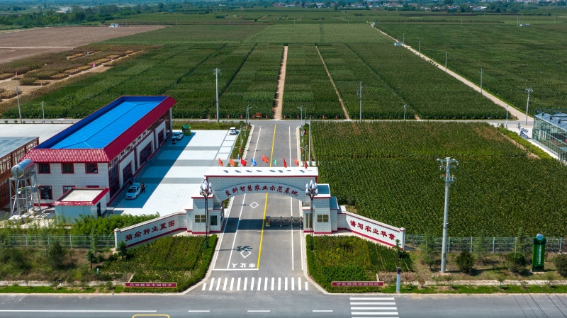 全國種業(yè)基地提升工作推進(jìn)會(huì)在京召開