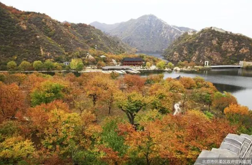 京郊“打卡”熱度持續(xù),北京農(nóng)業(yè)“附加值”亮眼 京郊“打卡”熱度持續(xù),北京農(nóng)業(yè)“附加值”亮眼