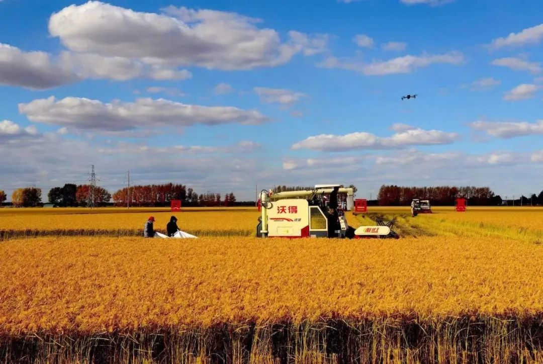 智慧農(nóng)機(jī)助力！北大荒展現(xiàn)節(jié)糧減損多項舉措
