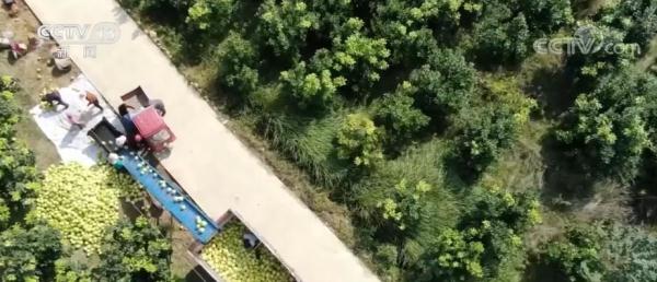 農村居民人均可支配收入14600元 實際增長4.3%