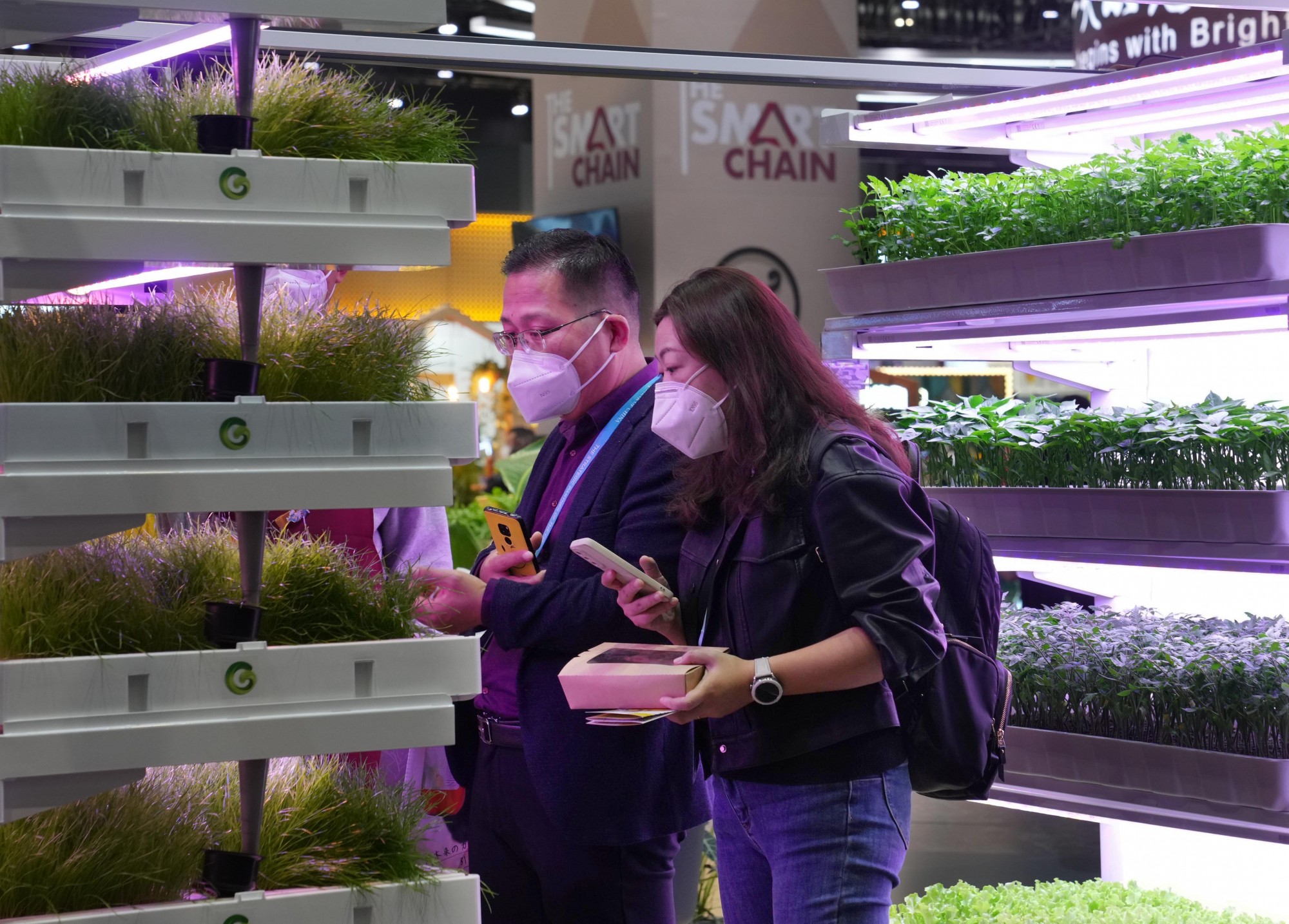 進(jìn)博會(huì)上看“集裝箱里種菜” 進(jìn)博會(huì)上看“集裝箱里種菜”