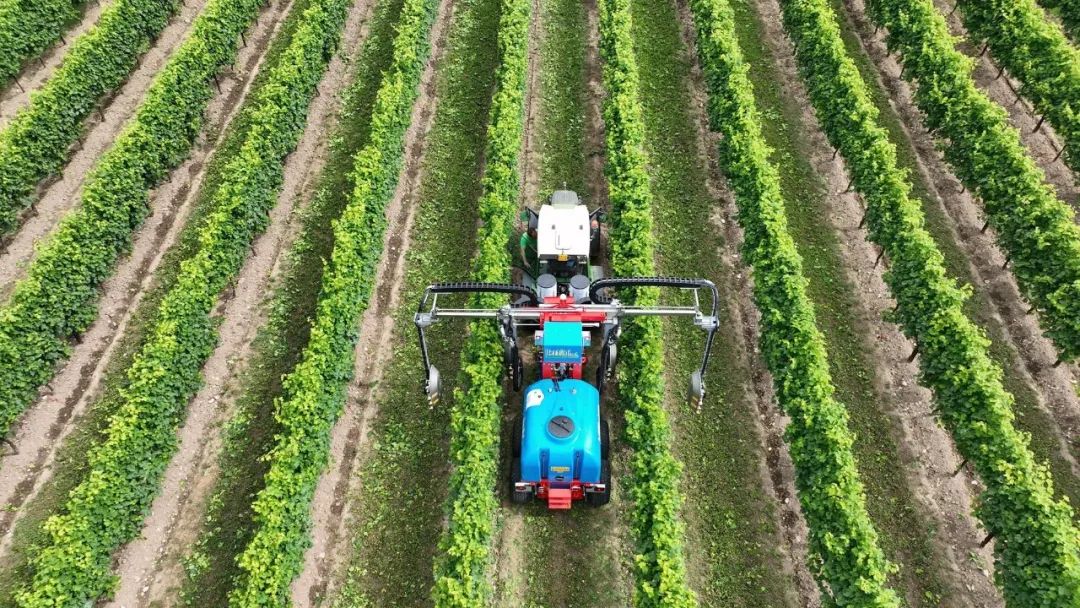 EIMA 2022技術創新獎釋出，自主性和環境友好產品受青睞