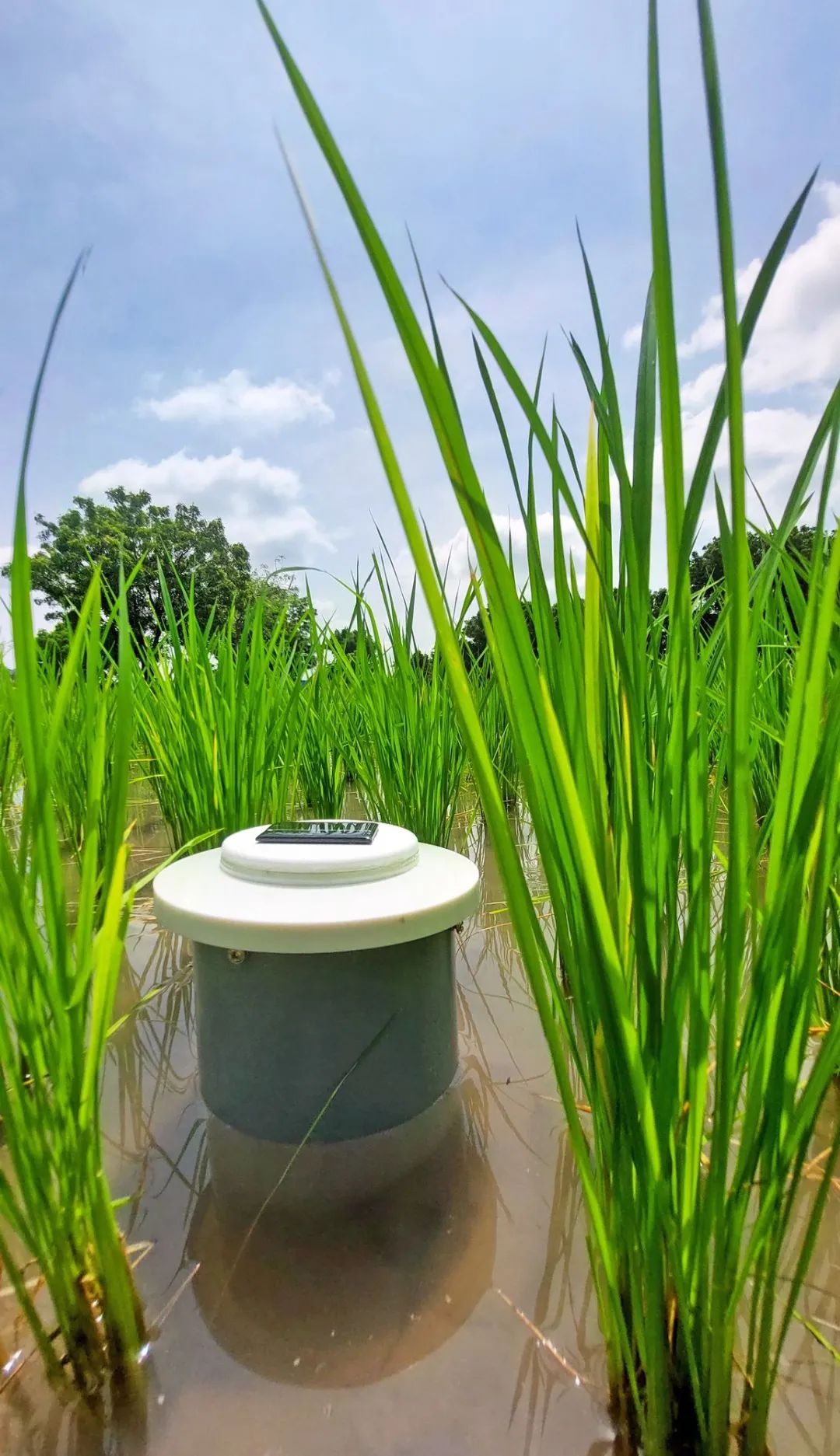 EIMA 2022技術創新獎釋出，自主性和環境友好產品受青睞