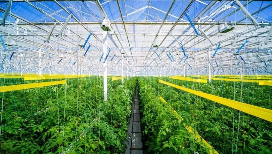 智慧農(nóng)業(yè)迎來(lái)4大趨勢(shì)！發(fā)展5步路線圖清晰出爐！