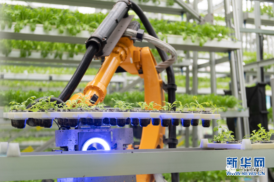 數(shù)字技術為傳統(tǒng)農(nóng)業(yè)帶來更多可能性