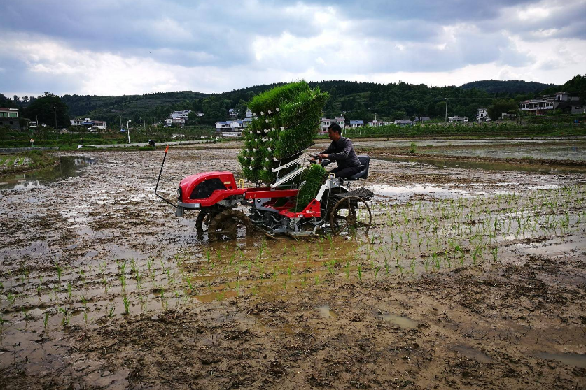 連續(xù)三年，這類農(nóng)機研發(fā)寫入中央一號文件