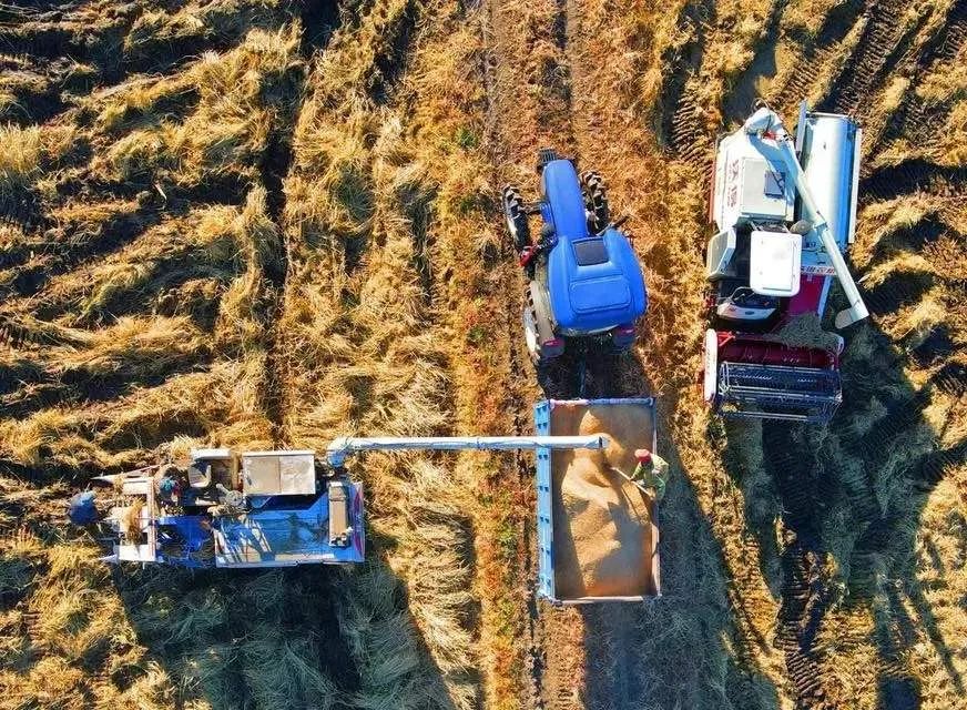 連續(xù)三年，這類農(nóng)機研發(fā)寫入中央一號文件