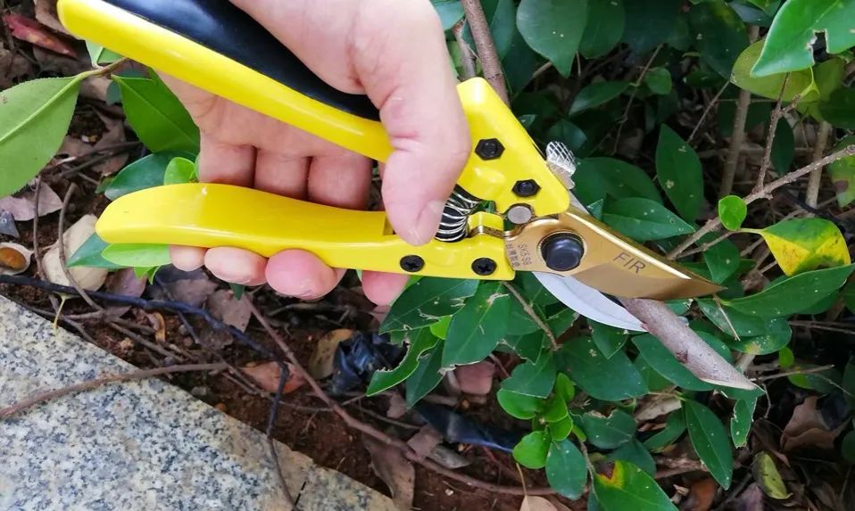 2023年中央一號(hào)文件解讀：加緊研發(fā)園藝機(jī)械應(yīng)該如何理解？