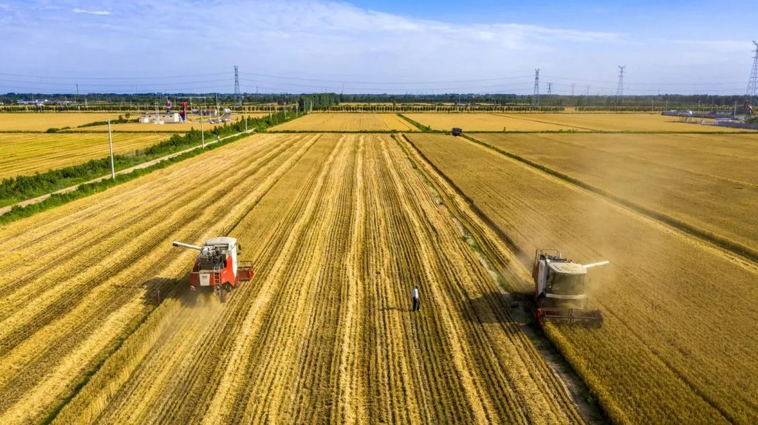 中國(guó)農(nóng)學(xué)會(huì)發(fā)布“36條農(nóng)業(yè)農(nóng)村重大科學(xué)命題”