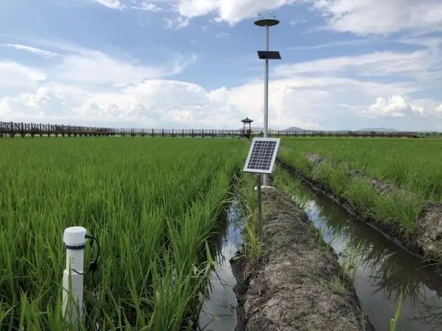 【數(shù)字農(nóng)業(yè)案例】阿里巴巴首個數(shù)字農(nóng)場項目