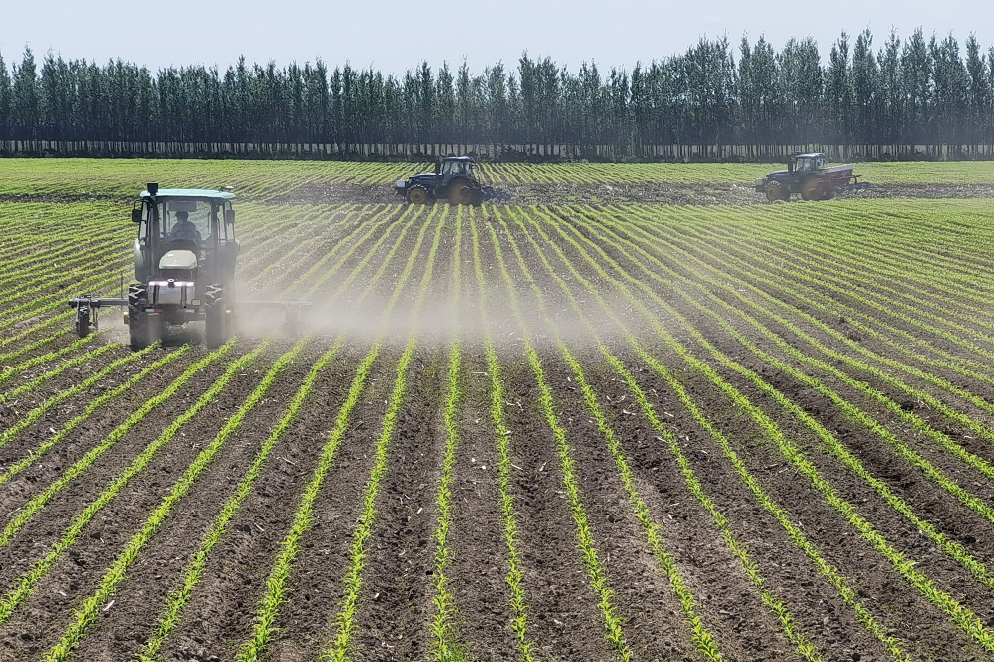 節糧減損，北大荒踏實做好第一步