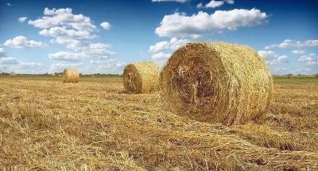 【政策解讀】國家積極推進農(nóng)作物秸稈綜合利用