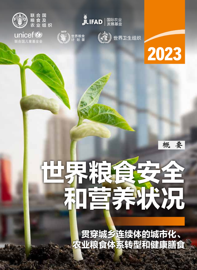聯(lián)合國發(fā)布《2023年世界糧食安全和營養(yǎng)狀況》報告：2019年以來，全球新增1.22億饑餓人口
