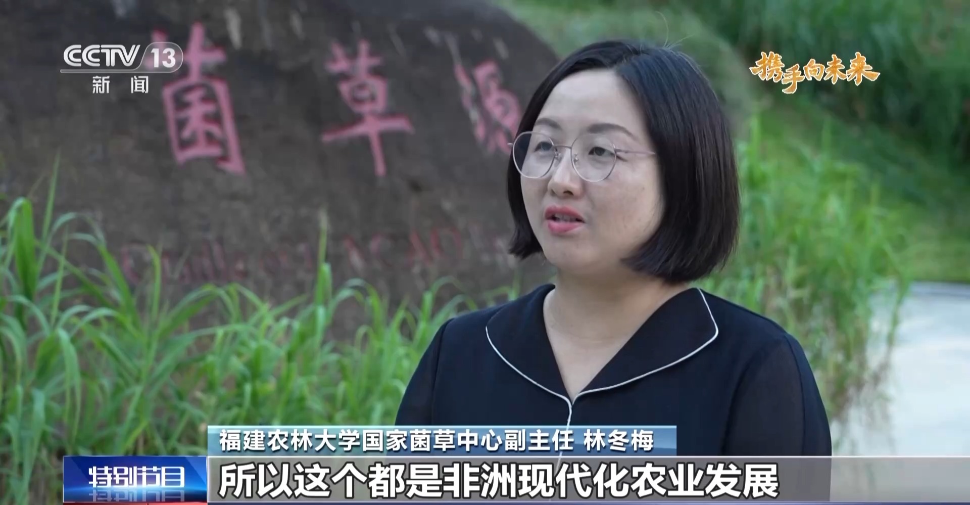 來自中國的菌草成為非洲多國民眾的“致富草” 來自中國的菌草成為非洲多國民眾的“致富草”