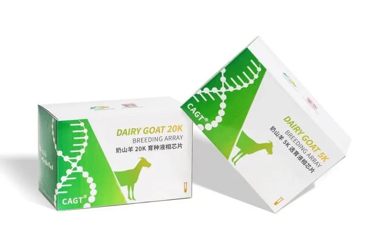 西北農(nóng)林科技大學(xué)成功研發(fā)國(guó)內(nèi)首款經(jīng)濟(jì)實(shí)用型奶山羊育種芯片
