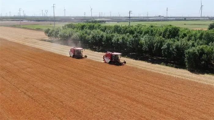 推進(jìn)鄉(xiāng)村全面振興是“三農(nóng)”工作總抓手