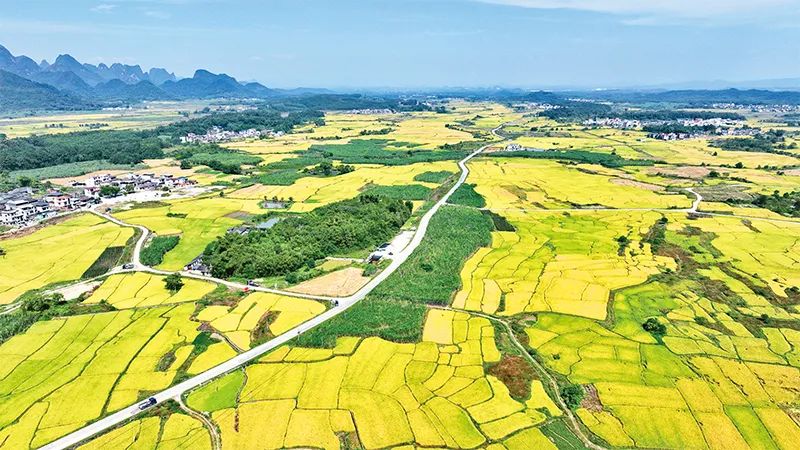 中央農辦:有力有效推進鄉村全面振興 中央農辦:有力有效推進鄉村全面振興