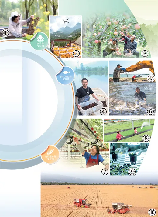 向新 向綠!我國農業綠色發展水平穩步提升 向新 向綠!我國農業綠色發展水平穩步提升